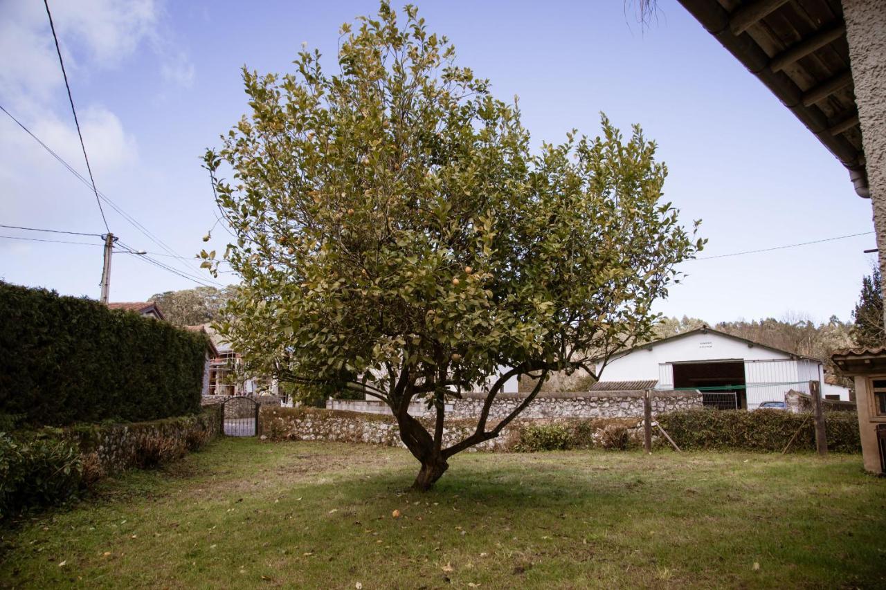 Vila El Vallau Balmori Exteriér fotografie